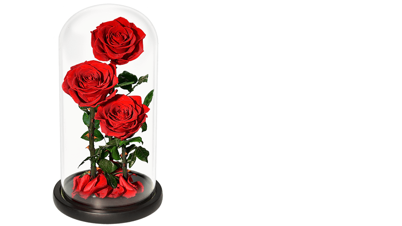 wieczne róże zamknięte w szkle led ranking